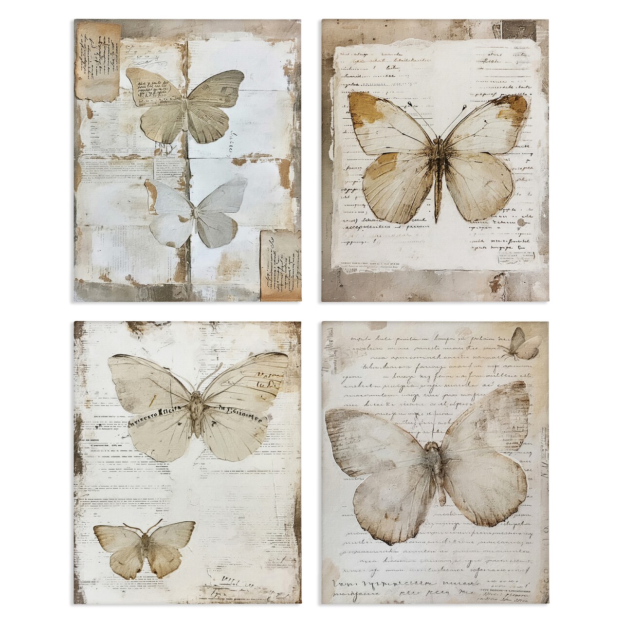 Stupell Industries Neutral Vintage Butterflies 4pc Canvas Wall Art Set Design by RileyB